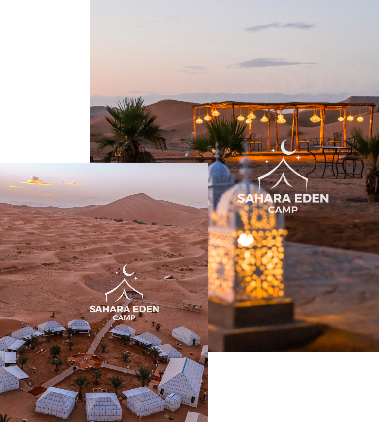 Luxury Sahara Eden Camp