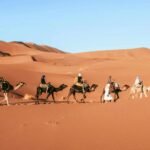 Merzouga Camel Ride