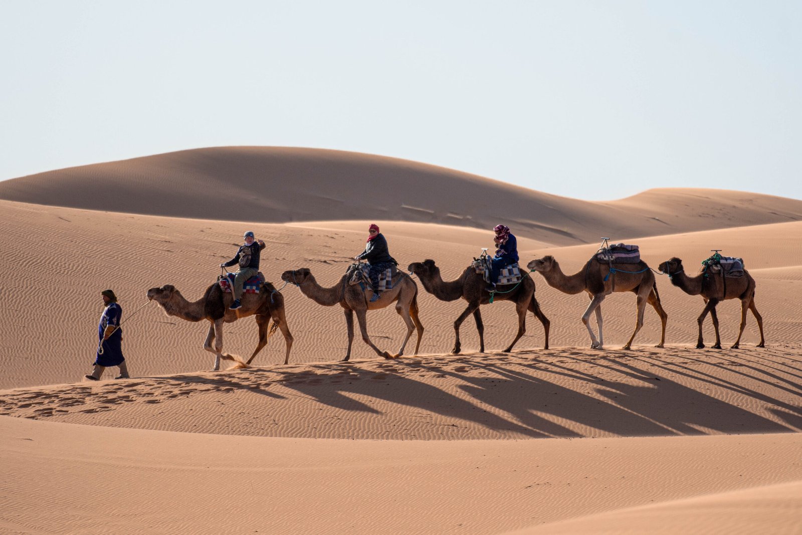 camel trekking in merzouga