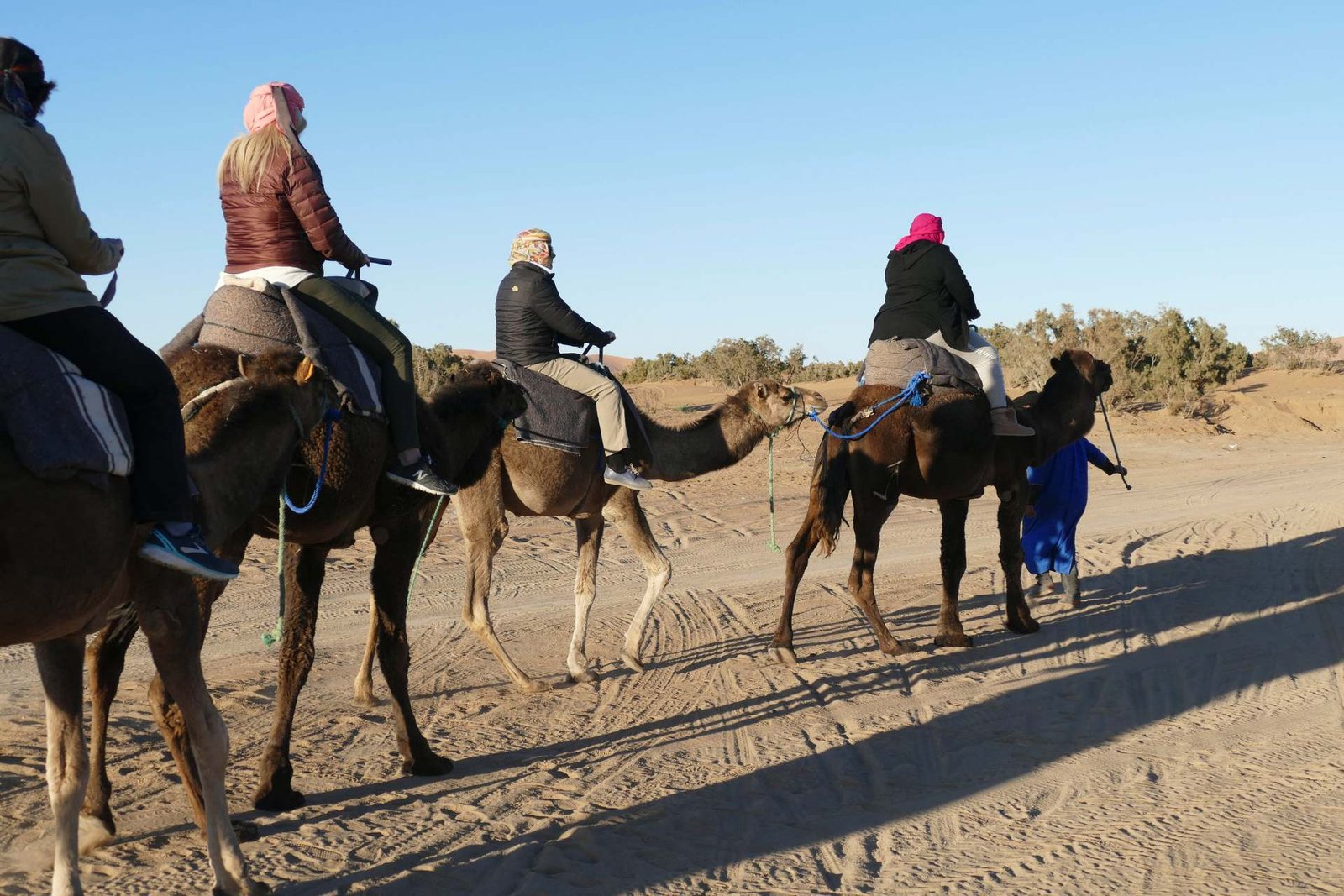 camel trekking in merzouga night in the desert